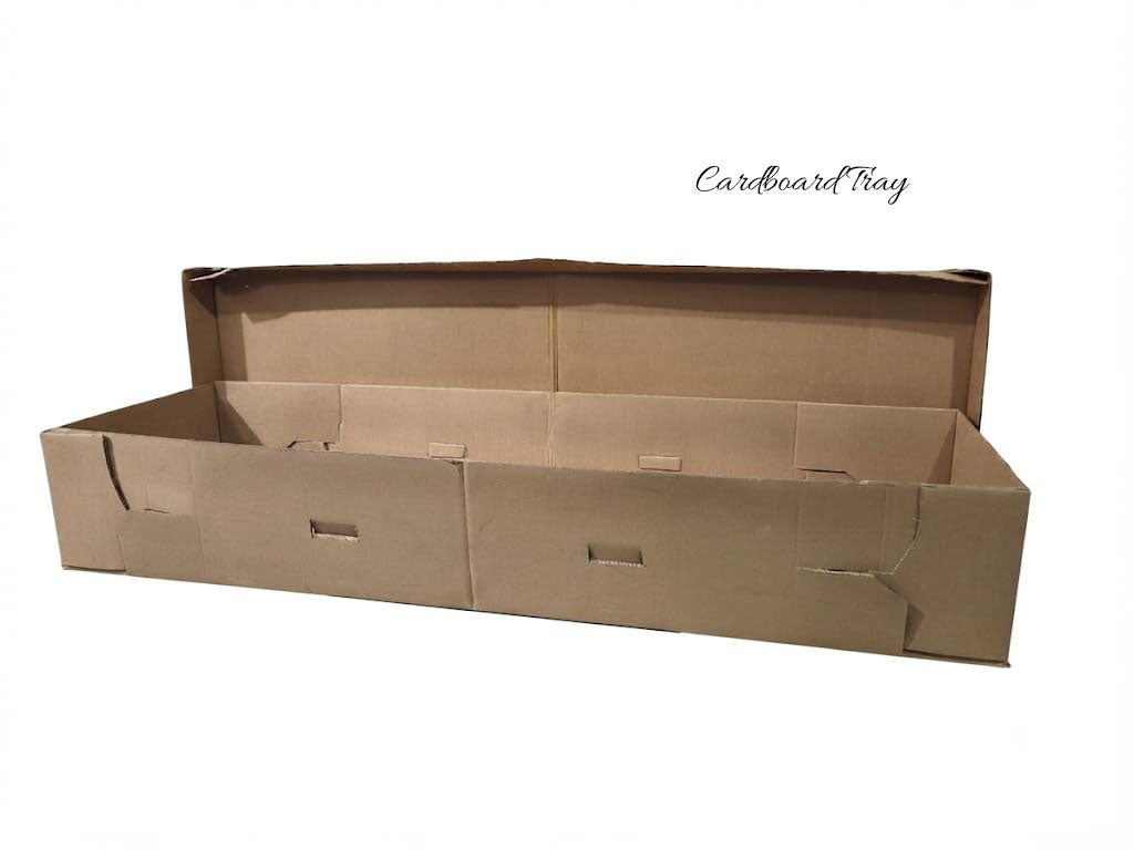 Cardboard Tray