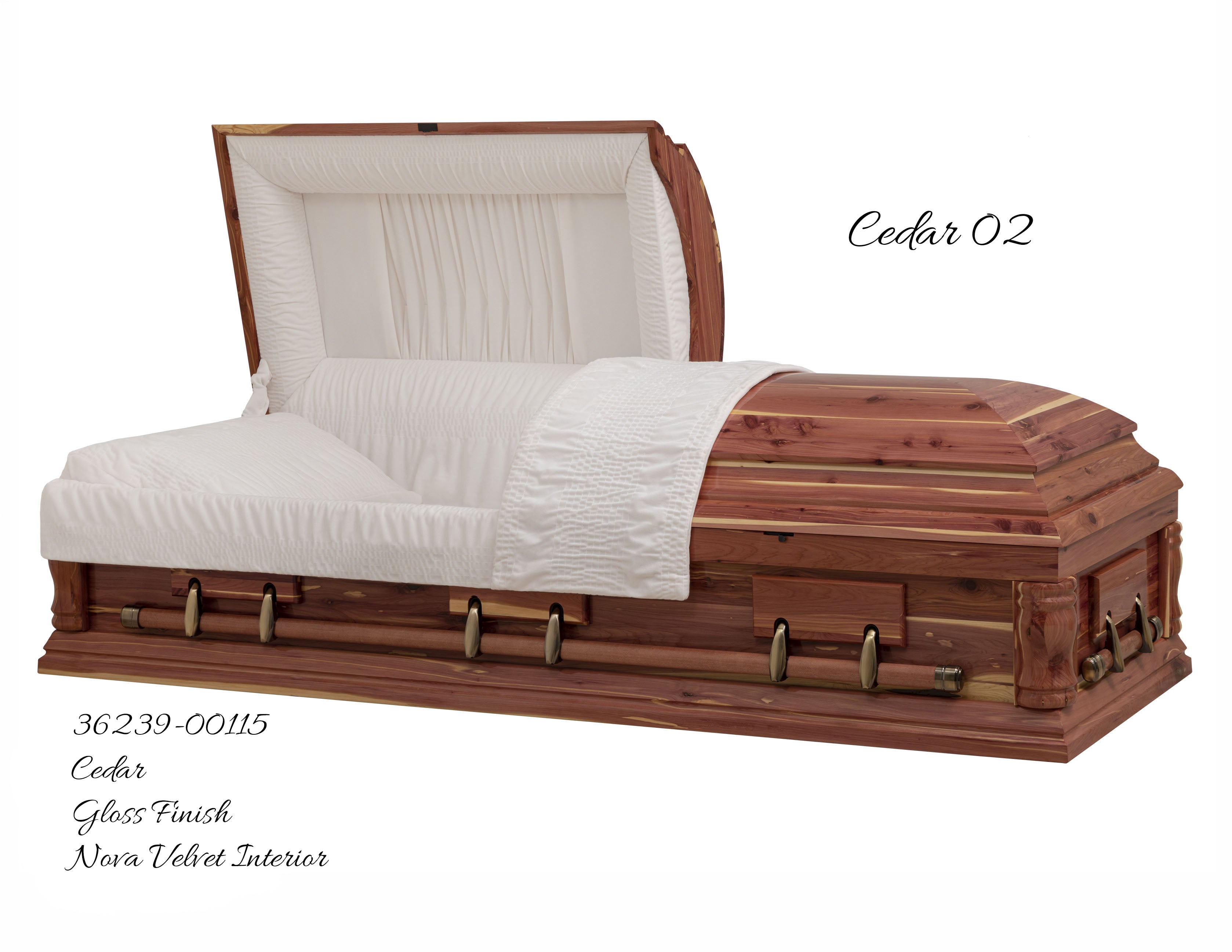 Cedar 02