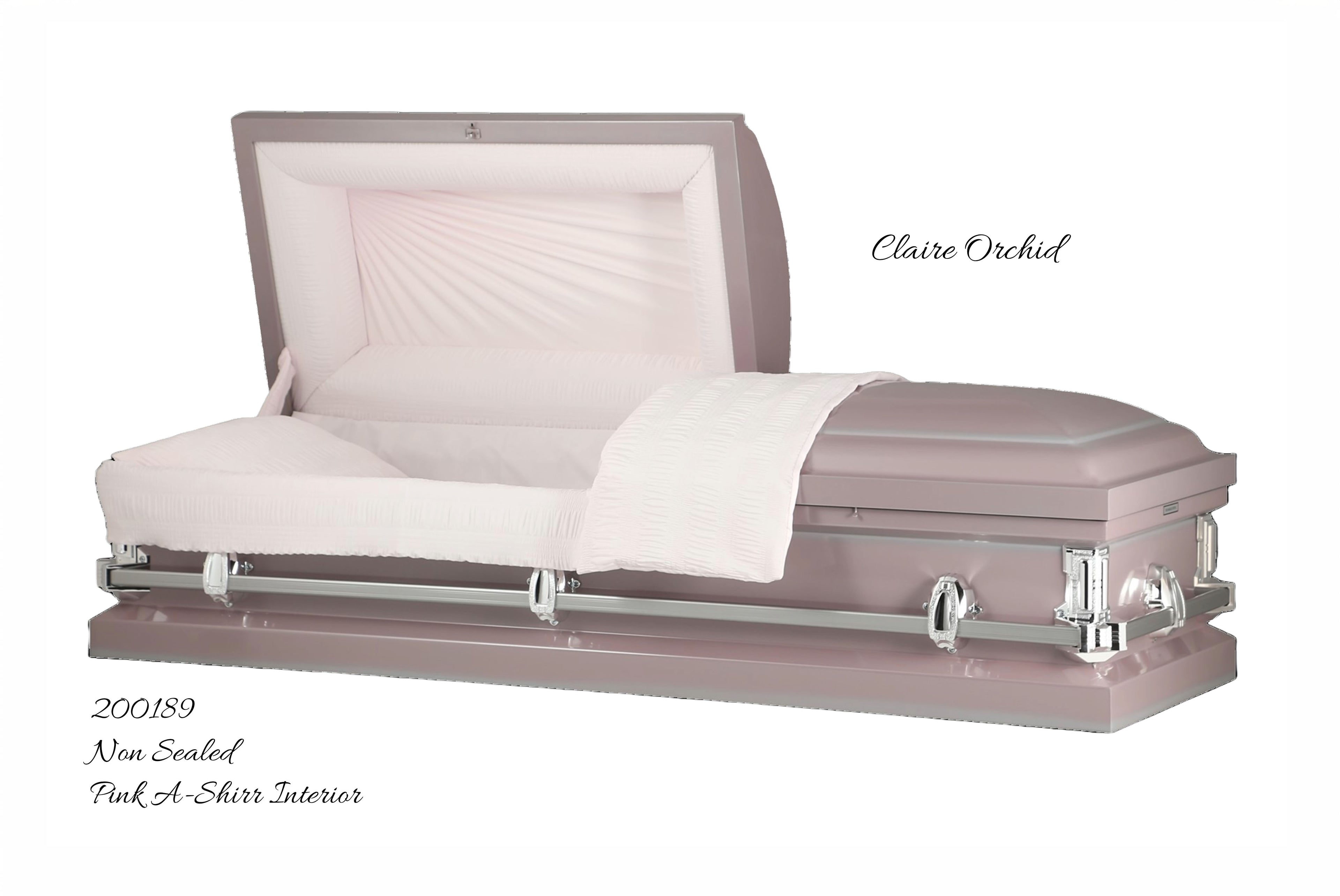 Claire Orchid